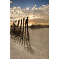 Celebrate Life Gallery - Dune Fence At Sunrise 
