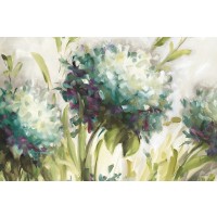 Lisa Audit - Hydrangea Field  