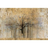 Avery Tillmon - Open Arms Gold Crop