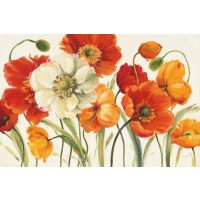 Lisa Audit - Poppies Melody I  