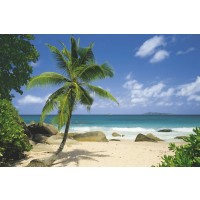 Beach Landscape  