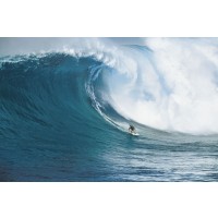 Lets Go Surfing  