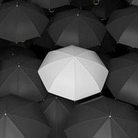White Umbrella 
