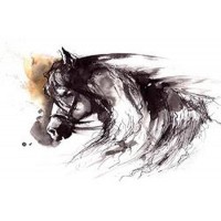 Horse Traveling 