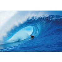 Riding The Wave