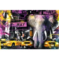 New York - Elephant in The City