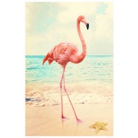 Flamingo - Beach Walk