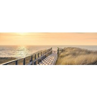 Luis Bond - Path to the Beach - Sea Oats