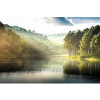 Pang Ung - Reflection of Pine Tree in a Lake