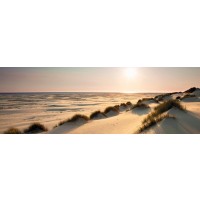 Sand Dunes - Sunny