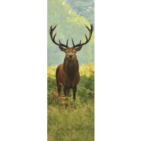 Deer - Wild in Green