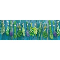 Herbs - Hanging