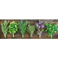 Herbs - Bouquet