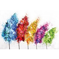 Rainbow Forest