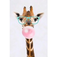 Giraffe - Funky