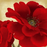 Linda Wood - Red Peony I  