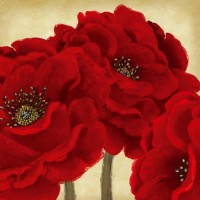 Linda Wood - Red Peony II  