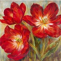 Liv Carson - Flamenco Reds