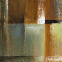 Lanie Loreth - Sonoran Shadows II
