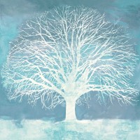 Alessio Aprile - Aqua Oak