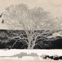 Aprile Alessio - Silver Tree (detail)