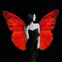 Julian Lauren - Winged Beauty -2