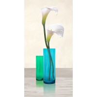 Ann Cynthia - Callas in crystal vases I