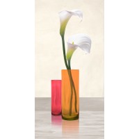 Ann Cynthia - Callas in crystal vases II