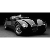 Don Heiny - 1951 Jaguar C-Type (BW)
