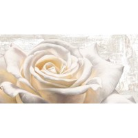 Jenny Thomlinson - White on White