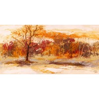 Lucas - Foresta II