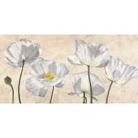 Villa Luca - Poppies in White