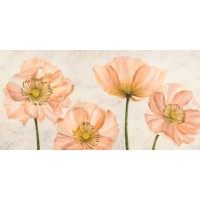 Villa Luca - Poppies in Pink
