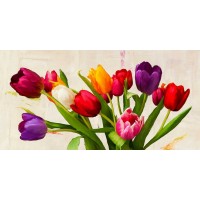 Teo Rizzardi - Bouquet d Ete
