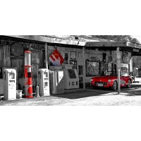 Vadim Ratsenskiy - Vintage gas station on Route 66