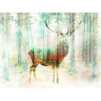 Arlo Wren Photos - Lord of the Woods