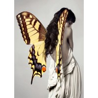 Julian Lauren - Winged Beauty -3