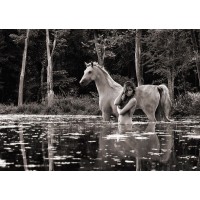 Julian Lauren - In the Wilderness