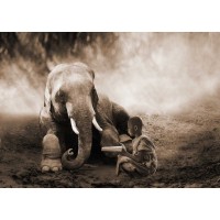 Marc Moreau - Together