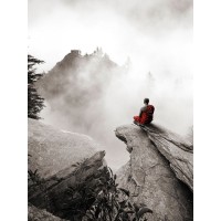 Marc Moreau - Contemplate