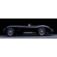 Don Heiny - 1951 Jaguar C-Type