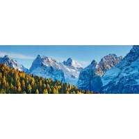 Frank Krahmer - Larch forest and Cima bel Pra, Italy