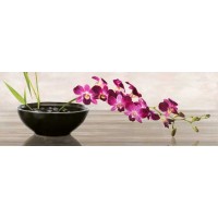 Shin Mills - Orchid Arrangement