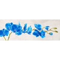 Shin Mills - Blue Orchid