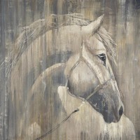Liz Jardine - His Majesty