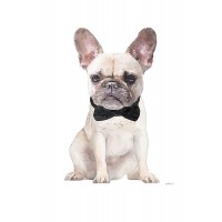 Amanda Greenwood - Frenchie II