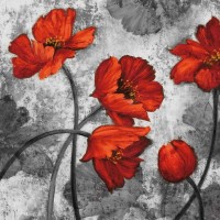 Brian Francis - Evening Red II