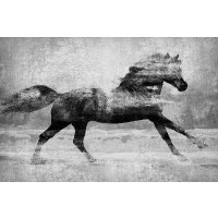 Madeline Blake - Running Horse Silver