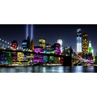 Carly Ames - NYC In Living Color II