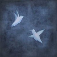 Chris Donovan - Flight in Blue II